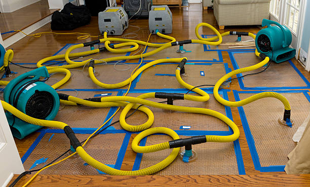 Professional Crawl Space Water Removal technician working in Coldspring, TX